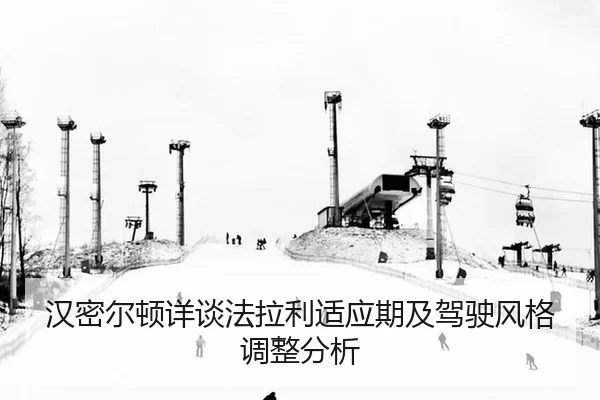 han-mi-er-dun-xiang-tan-fa-la-li-shi-ying-qi-ji-jia-shi-feng-ge-tiao-zheng-fen-xi-2-198.jpg